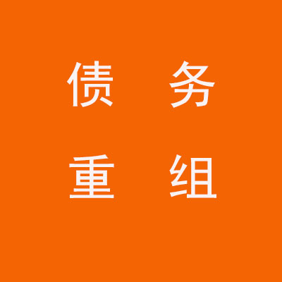 龙楼镇个人债务重组优化